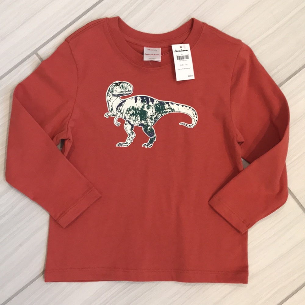 Hanna Andersson dinosaur 🦖 top 4T